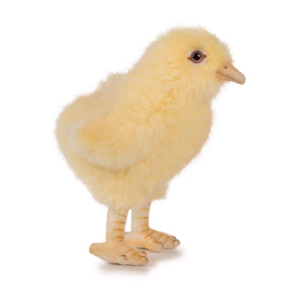 Chick Plush Toy