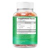 BeLive Fiber Gummies - Prebiotic Fiber Supplement with Chicory Root & Inulin for Digestive Support & Overall Gut Health I Vegan, Sugar Free Gummies for Adults & Children | 60 Ct - Apple Flavor