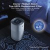 Clorox Medium Room Air Purifier True HEPA Replacement Filter, 1,000 Sq. Ft. Capacity, Removes 99.97% of Allergens up to 0.1 Micron, Compatible with 11030 & 11031, 1 Count (12030)