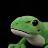 Tiny Heart Simulation Falklands Day Travelling Gecko Plush Toys, 21.65inch Super Soft and Cute Gecko Plush Stuffed Animal Figures Realistic Dolls Home Decor Children Gifts