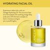 Lancer Skincare Omega Hydrating Oil with Ferment Complex, Daily Facial-Oil Moisturizer Serum with Turmeric, 1 Fluid Ounce