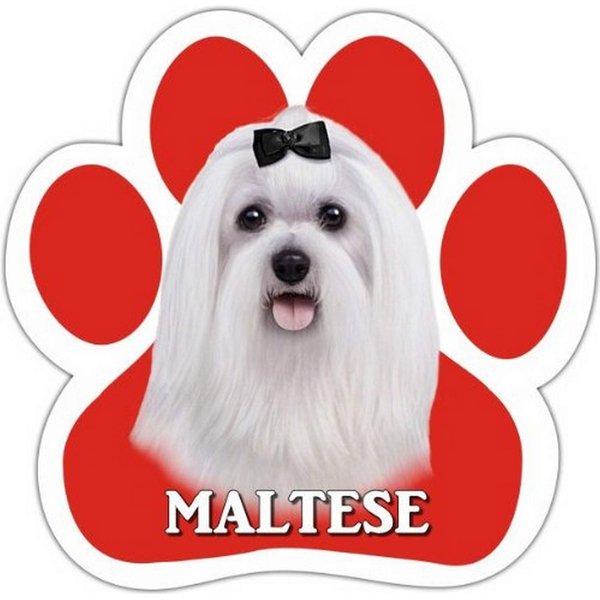 Maltese Car Magnet With Unique Paw Shaped Design Measures 5.2 by 5.2 Inches Covered In High Quality UV Gloss For Weather Protection