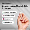 Akkermansia Muciniphila Probiotic Supplement 3 Billion CFU 240 Tablets Probiotics for Men & Women Supports Digestive & Gut Health (240, Akkermansia Muciniphila)