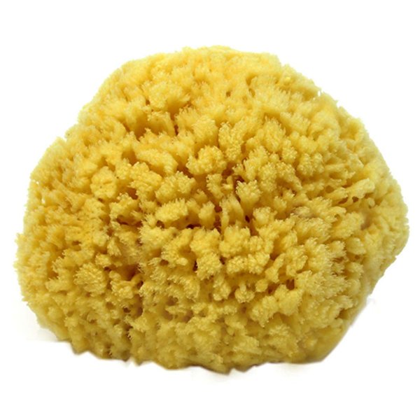 Natural Sea Sponge Small 4-5" by Spa Destinations®"Creating The Perfect Bath and Shower Experience" Amazing Natural Renewable Resource!