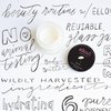 Ellovi All-Natural Body Butter - Creamsicle - Pure Enough to Eat - Made With Just 6 Vegan Ingredients - Ultra-Rich 100% Plant-Based Hydrating Moisturizer For Naturally Healthy Skin (3.4 fl. oz/100ml)