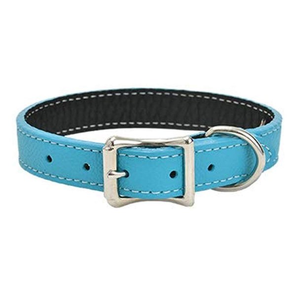 Auburn Lethercrafters Tuscany Collar 3/4x16 Color:Turquoise