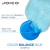 Color Balance Shampoo and Conditioner Set