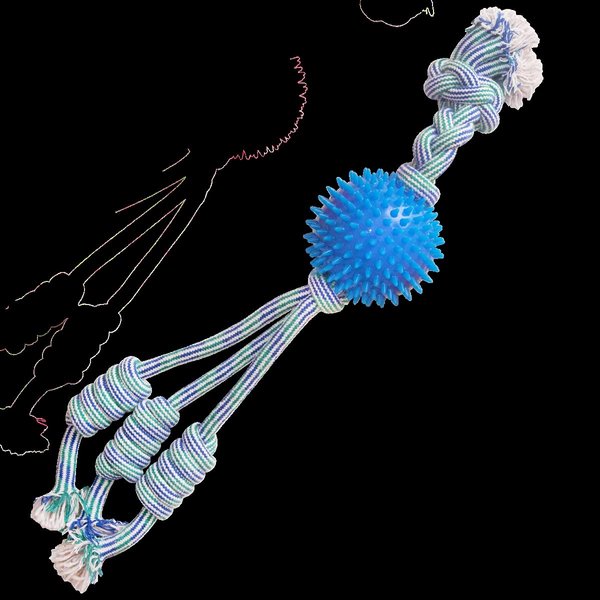 SNUGAROOZ 712188 23 in. Feeling n Spikey Dog Toy