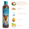 Bio-groom Bronze Lustre Dog Shampoo – Color Enhancing Pet Shampoo, Dog Bathing Supplies, Puppy Wash, Dog Grooming Supplies, Cruelty-Free, Made in USA, Coat Brightener Shampoo – 12 fl oz 1-Pack