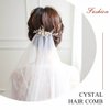 Catery Crystal Bride Wedding Hair Comb Silver Side Combs Bridal Hair Piece Clips Headpiece Hair Accessories for Women and Girls