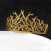 winvin Alloy Branch Crown Queen Crown For Cosplay Birthday Wedding Halloween Costume Party Decorations (Dark Gold)