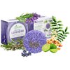 Solid Shampoo Bar And Conditioner Effect Hair Soap – 12 Pack Natural Shampoo Bars For Hair With Plant Based Essential Oils And Eco Friendly Zero Waste Biodegradable Packaging (Lavender Pack Of 12)