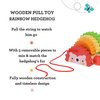 Petit Collage Rainbow Hedgehog Wooden Pull Toy
