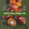 Soapeauty Palm Oil RBD – 100% Pure & Natural, Cold-Pressed, Non-Hydrogenated & Sustainable for DIY Soap, Creams & Lotions – Rich in Vitamin E – 48 fl oz (3 x 16 fl oz)
