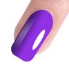Vishine Gel Nail Polish, 0.5 OZ Purple Shade Soak Off UV LED Nail Gel Polish Manicure Salon DIY for Nail Art Long-Lastnig 15ml