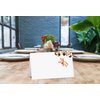Bear Place Cards Tent Style Cards – 25 Cards per Pack – shower Bear Party Supplies Decorations(TAIKA-012)