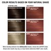 AGE beautiful Permanent Hair Color Dye Liqui Creme | 100% Gray Coverage | Anti-Aging Haircolor | Biotin for Thicker, Fuller Hair | Professional Salon Coloring | 6NRG Light Neutral Red Golden Brown
