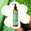 Plant Therapy Peppermint Body Lotion with Aloe and Shea, Hydrate and Nourish Skin with Botanical Ingredients, 8 oz