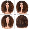 ANNISOUL Curly Lace front Wigs for Black Women Highlight Ombre Curly lace front Wig Synthetic Hair Pre Plucked 13x4x1HD Long Glueless Curly Afro Wig Black and Brown Synthetic Lace Frontal Wig