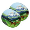 Wild Horses Birthday Party Supplies Set Plates Napkins Cups Tableware Kit for 16