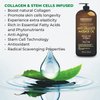 First Botany, Anti-Cellulite Massage Oil Infused with Collagen & Stem Cells - Natural Cellulite & Stretch Mark Treatment for Men & Women - 8 oz