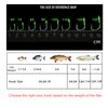 Carp Fishing Baits Hook Lure Trap Luminous Hooks with Drum Type Spring Feeder and Glow Fishing Beads Coarse Fishing Tackle (10#)