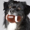FRCOLOR Pet Ball Toy Interactive Dog Toys Puppy Dental Chew Toys Dog Molar Toy Puppy Chew Toys Dog Teething Toy Dog Rugby Ball Toy Dog Squeaky Balls Bite Small Dog Plush