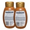 Pro Silk Salon Moisturizing Coconut Oil Shampoo infused with Coconut oil & Shea Butter 14 fl oz (2 Pack)