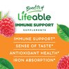 Lifeable Immune Support for Adults Gummies - with Elderberry, Vitamin C and Zinc - Great Tasting Natural Flavor Gummy Supplement - Gluten Free Vegetarian GMO-Free Chewable Vitamins - 90 Gummies