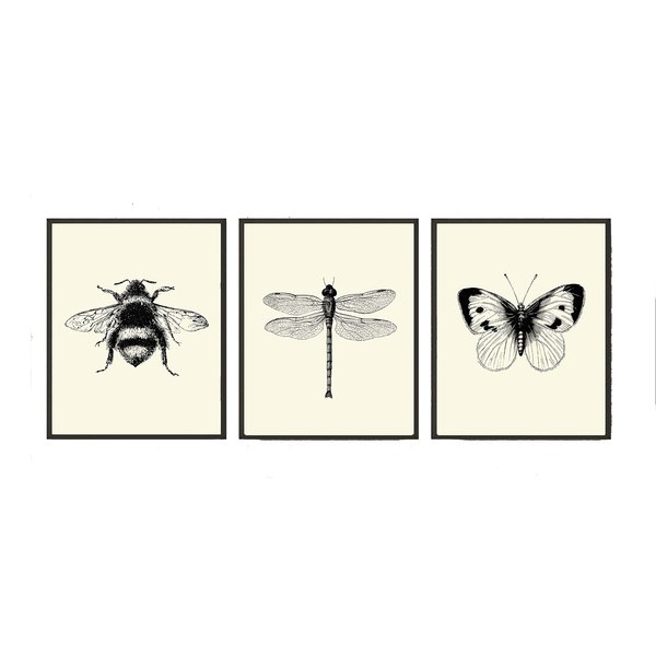 Bee Dragonfly Butterfly Wall Art Prints set of 3 Prints 8x10 - Unframed - Beautiful Black and White Illustration Ivory Natural Background Home Room Decor