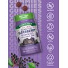 Nature's Truth Kids Elderberry Gummies | 50 Count | with Zinc and Vitamin C | Vegan, Non-GMO & Gluten Free Supplement