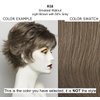 Bundle - 5 items: Whisper Wig by Raquel Welch, Christy's Wigs Q & A Booklet, 2oz Travel Size Wig Shampoo, Wig Cap & Wide Tooth Comb - Color: R38