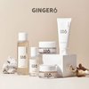 GINGER6 Active Water Cream 1.69 fl.oz. - Anti-Aging and Hydrating Facial Gel Moisturizer with Peptides, Hyaluronic Acid and Ginger Extract, Bouncy Lightweight Gel Formula, Natural Ingredients