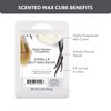 Better Homes and Gardens Scented Wax Cubes 2.5oz 2-Pack (Vanilla Buttercream)