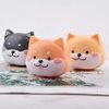 DoyiFun 2 Pcs Cute Dog Contact Lens Case Travel Kit Portable Animal Contact Lens Box Holder Soak Storage Container with Mirror Bottle Tweezers Stick Remover Tool