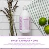 Sapadilla Liquid Dish Soap - Sweet Lavender + Lime - Made with 100% Pure Essential Oil Blends, Tough on Grease, Aromatic & Fragrant Dishwashing Liquid, Plant Based, Biodegradable, 12 Ounce (Pack of 1)