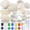 COUCHINLARY DIY Natural Sea Shells Painting Kit Starfish for Kits Children Arts&Crafts Kits Presents Gifts for Girls Boys Age 4+ Year Old 4-12 DIY Painting with Watercolor Paints