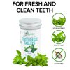 200 Pack Natural Toothpaste Tablet Bits - Chewable Mouthwash Whitening Bite Tablets for Teeth SLS & Fluoride Free Eco & Travel Friendly - Zero Waste Packaging - Mint & Activated Charcoal (Peppermint)