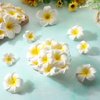 Hawaiian Plumeria Flower Hair Clips for Women Girls Bridal Summer Beach Wedding Party Dress Decor Accessories Gift,Floral Hair Claw Barrettes