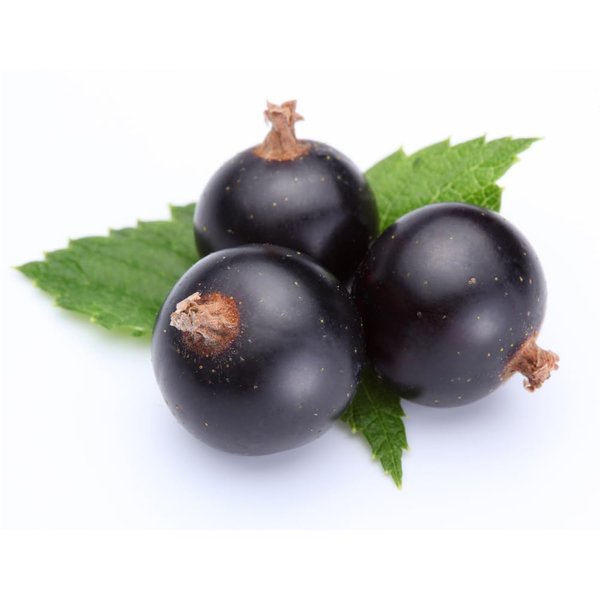 OliveNation Blackcurrant Extract from Natural Flavors, Cassis Flavoring for Baking, Beverages, Filling, Sugar Free, Non-GMO, Kosher, Vegan - 2 ounces