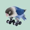Ipetboom Bird Bird Parakeet Parrot Roller Skates Bird Tabletop Roller Birds IQ Training Puzzle for Macaw Conure Cockatiel Parakeet 1 Pair Bird Parakeet Parakeet