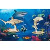3D Wooden Sea Animal Puzzle - 6 Piece Set Wood Sea Animals Skeleton Assembly Model Kits - Wooden Crafts DIY Brain Teaser Puzzle - STEM Toys Gifts for Kids and Adults Teens Boys Girls