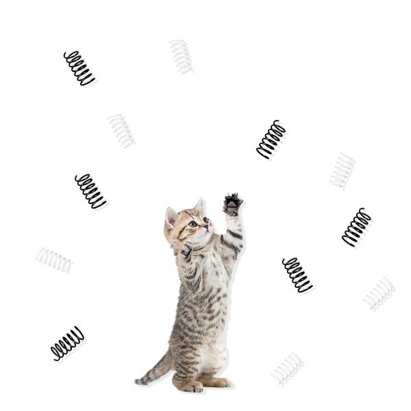 Andiker Cat Springs for Indoor Cats, 12Pc Cat Creative Toy to Kill Time&Keep Fit Interactive Cat Toy Black&White Springs Cat Toy for Biting(Black+White)