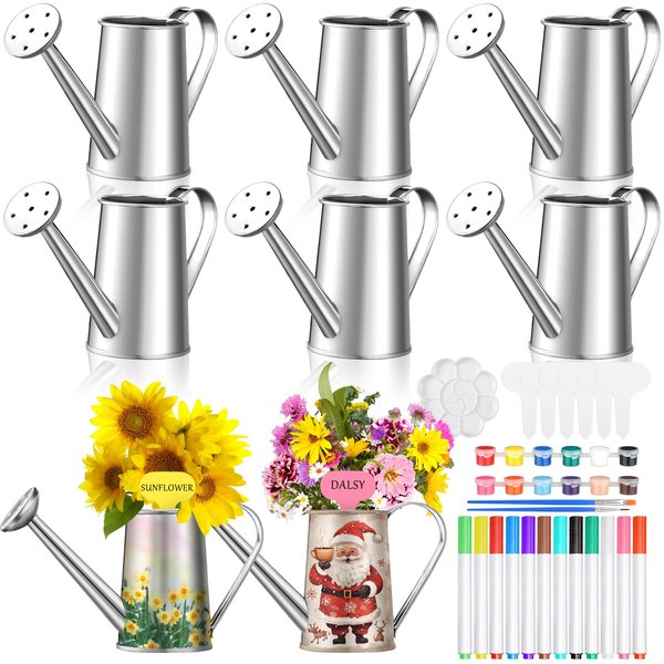 Reallnaive 6 Set DIY Metal Succulent Pots Paintable Watering Can Planters Ready to Paint Plant Pots Unpainted Flower Pots Bulk Ready to Paint for Classroom