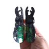 Fantasy Stag Beetle Hair Clip,Acetate Claw Clips,Hair Clips for Women