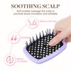 GOO GOO Wet and Dry Vented Detangling Hair Brush, Anti-static and Gentle Scalp Massage for All Hair Types, Purple Black