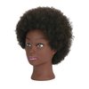 QACIEH Afro Kinky Curly 100% Real Human Hair Mannequin Head with Stand for Hairdresser Practice Cosmetology Manikin Doll Training Head Braiding Styling Coloring Bleaching Dyeing Cutting Updos Display
