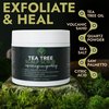 Tea Tree Scalp Scrub - Best Itchy Scalp Treatment with Tea Tree Oil, Quartz Powder, Sea Salt for Dry, Itchy Scalp Relief & Hair Growth - Anti-Fungal Scalp Treatment & Dandruff Scrubber