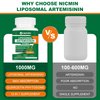 NICMIN Liposomal Artemisinin Supplement 1000mg, Sweet Wormwood Extract with 200mg Quercetin Phytosome, Maximum Absorption for Antioxidant 120 Capsules