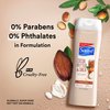 Suave Essentials Body Wash Creamy Cocoa Butter and Shea For Hydrated, Smooth Skin Infused with Vitamin E 15 oz